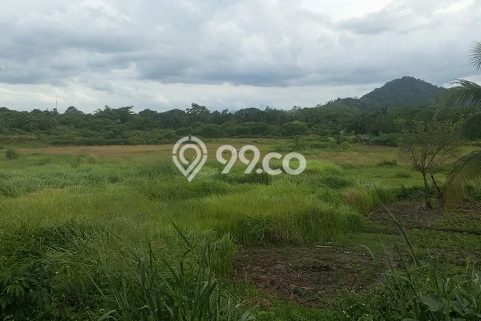 Tanah Strategis Dijual di Rumpin Bogor 21000m2 Tanah Strategis Dijual di Rumpin Bogor 21000m2