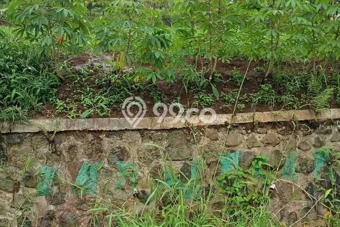 Dijual Tanah di Bogor, Luas 600m2 - Dijual Tanah di Bogor, Luas 600m2 -