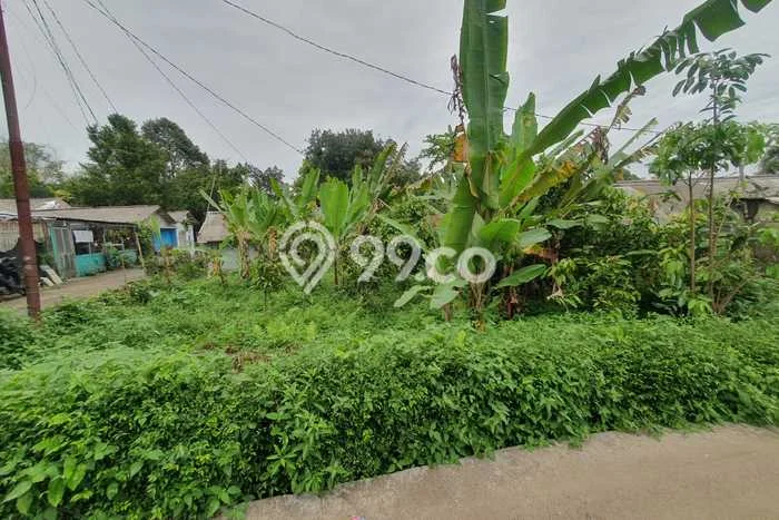 Dijual Tanah Lokasi Ciapus, Bogor Seluas 225m2 Dijual Tanah Lokasi Ciapus, Bogor Seluas 225m2