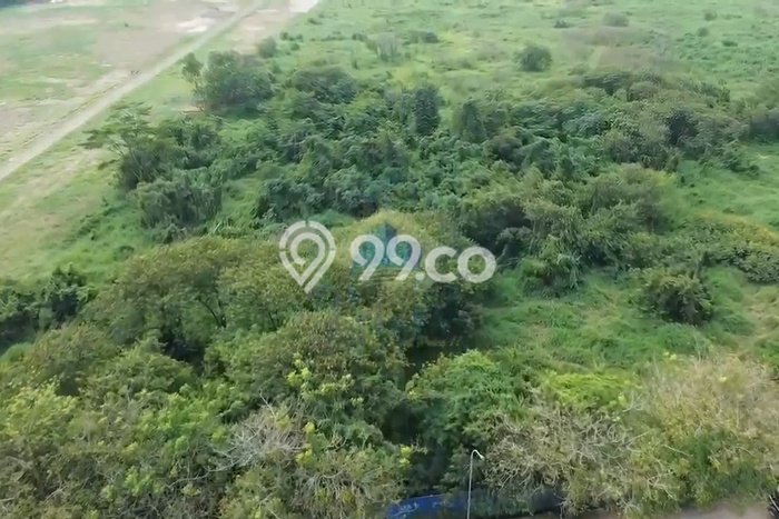 Tanah di Ciruas, Serang Luas 65000m2 Dijual Segera Tanah di Ciruas, Serang Luas 65000m2 Dijual Segera