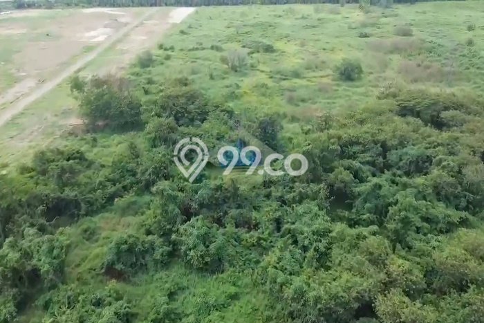 Tanah di Ciruas, Serang Luas 65000m2 Dijual Segera Tanah di Ciruas, Serang Luas 65000m2 Dijual Segera