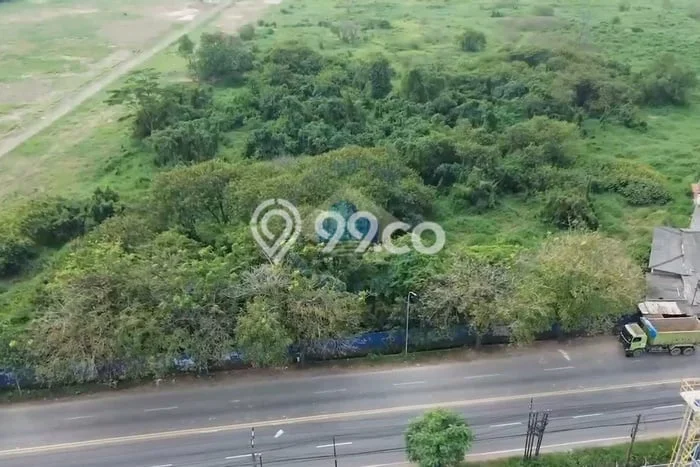 Tanah di Ciruas, Serang Luas 65000m2 Dijual Segera Tanah di Ciruas, Serang Luas 65000m2 Dijual Segera