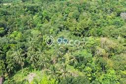 Tanah Kosong Dijual di Lebak dengan Area 500000m2 Tanah Kosong Dijual di Lebak dengan Area 500000m2