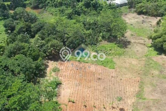 Kavling Tanah di Bogor Barat Dijual Luas 1830m2 Legalitas SHM Kavling Tanah di Bogor Barat Dijual Luas 1830m2 Legalitas SHM