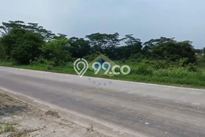 Lahan Kosong Dijual di Jawilan, Serang, Luas 20000m2 Area Strategis Lahan Kosong Dijual di Jawilan, Serang, Luas 20000m2 Area Strategis