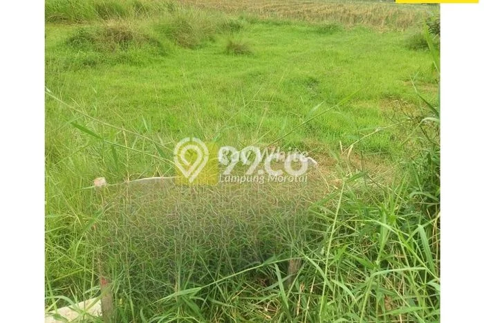 Tanah untuk Dijual Lokasi Tanjung Senang, Bandar Lampung Luas 389m2 - Tanah untuk Dijual Lokasi Tanjung Senang, Bandar Lampung Luas 389m2 -