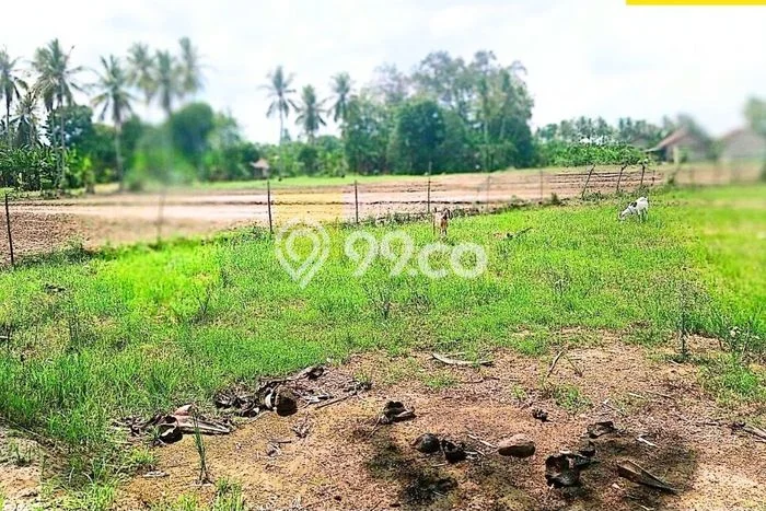 Lahan Kosong Dijual di Lampung Selatan dengan Area 2674m2 Lahan Kosong Dijual di Lampung Selatan dengan Area 2674m2
