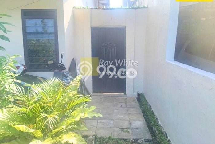 Disewakan Segera Rumah Kondisi Baik di Area Way Halim, Bandar Lampung Disewakan Segera Rumah Kondisi Baik di Area Way Halim, Bandar Lampung