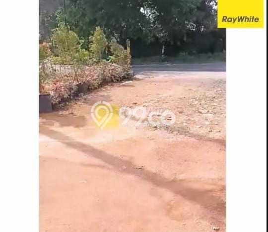 Tanah untuk Dijual Lokasi Pekalongan, Lampung Timur Luas 1253m2 - Tanah untuk Dijual Lokasi Pekalongan, Lampung Timur Luas 1253m2 -