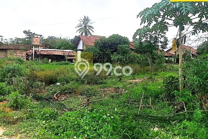 Lahan Kosong Dijual di Lampung Selatan dengan Area 2674m2 Lahan Kosong Dijual di Lampung Selatan dengan Area 2674m2