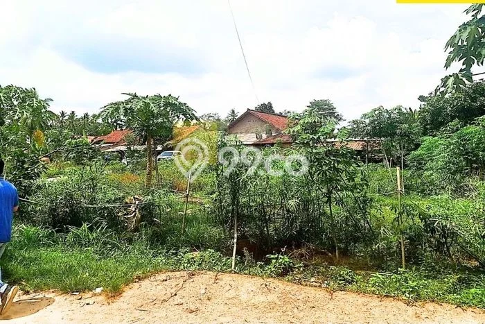 Lahan Kosong Dijual di Lampung Selatan dengan Area 2674m2 Lahan Kosong Dijual di Lampung Selatan dengan Area 2674m2