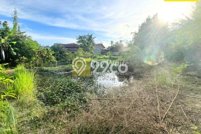 Tanah untuk Dijual Lokasi Jati Agung, Lampung Selatan Luas 5122m2 - Tanah untuk Dijual Lokasi Jati Agung, Lampung Selatan Luas 5122m2 -