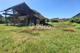 Tanah Komersial Dijual di Muncar Banyuwangi 6600m2 Tanah Komersial Dijual di Muncar Banyuwangi 6600m2