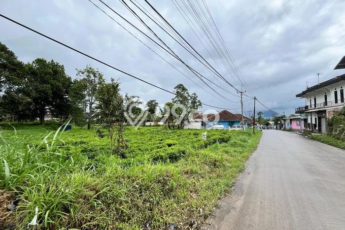 Lahan Dijual Lokasi Pangalengan, Bandung dengan Luas Tanah 3080m2 dan Status AJB Lahan Dijual Lokasi Pangalengan, Bandung dengan Luas Tanah 3080m2 dan Status AJB