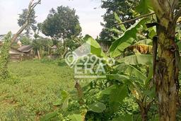 Jarang Ada! Tanah di Ciseeng Punya Luas 1200m2 SHM Jarang Ada! Tanah di Ciseeng Punya Luas 1200m2 SHM