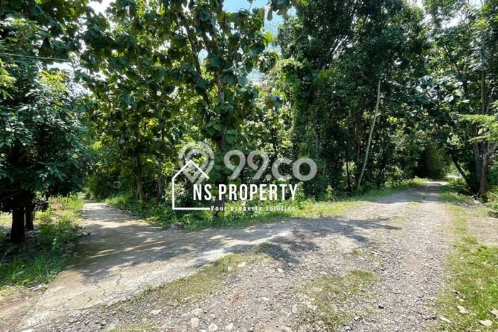 Tanah Area Berkembang Kawasan Sambi, Luas 3697m2m², Kawasan Asri, Dekat Sambi, Boyolali, Boyolali Tanah Area Berkembang Kawasan Sambi, Luas 3697m2m², Kawasan Asri, Dekat Sambi, Boyolali, Boyolali