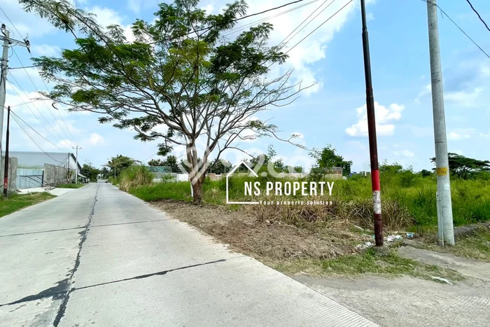 Tanah Dijual Lokasi Delanggu, Klaten Luas 2315m2 Legalitas Aman Tanah Dijual Lokasi Delanggu, Klaten Luas 2315m2 Legalitas Aman