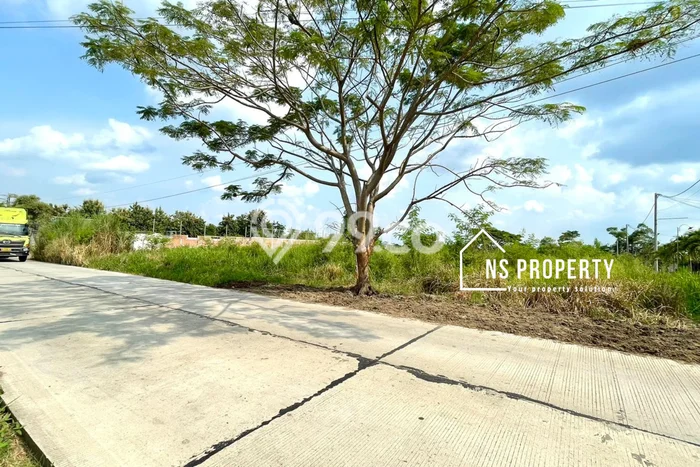 Tanah Dijual Lokasi Delanggu, Klaten Luas 2315m2 Legalitas Aman Tanah Dijual Lokasi Delanggu, Klaten Luas 2315m2 Legalitas Aman