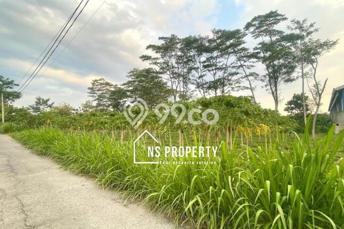 Lahan Dijual Lokasi Teras, Boyolali dengan Luas Tanah 1220m2 dan Status SHM Lahan Dijual Lokasi Teras, Boyolali dengan Luas Tanah 1220m2 dan Status SHM