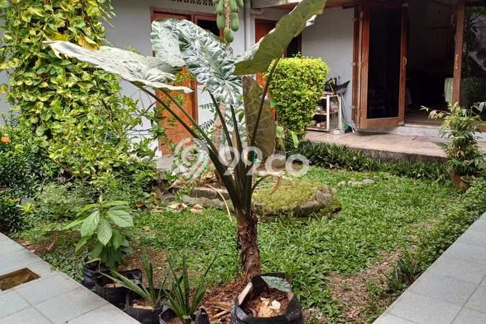 Siap Huni Hunian Elit 4 Kamar di Ilir Timur I Dekat ke Mana Saja Siap Huni Hunian Elit 4 Kamar di Ilir Timur I Dekat ke Mana Saja