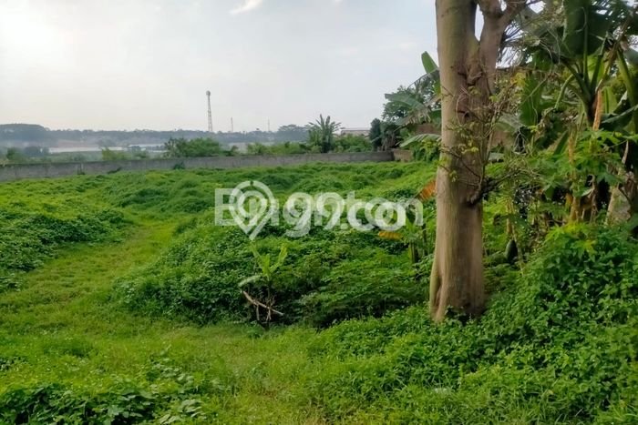 Tanah Kavling untuk Dijual di Boja Kendal 14613m2 Tanah Kavling untuk Dijual di Boja Kendal 14613m2