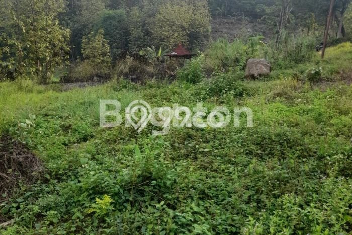 Tanah Komersial Dijual di Ungaran Timur Semarang 3000m2 Tanah Komersial Dijual di Ungaran Timur Semarang 3000m2