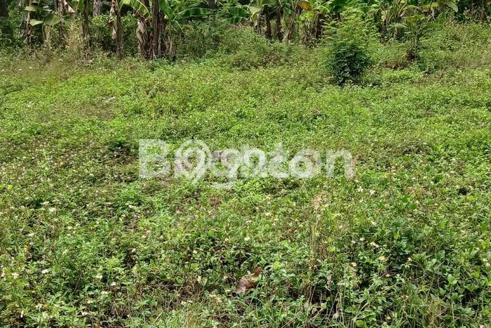 Tanah Dijual di Semarang Seluas 84m2 Strategis Tanah Dijual di Semarang Seluas 84m2 Strategis