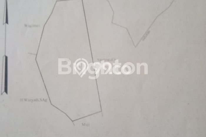 Kavling Tanah di Boja Dijual Luas 4300m2 Legalitas SHM Kavling Tanah di Boja Dijual Luas 4300m2 Legalitas SHM