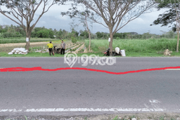 Dijual Tanah di Ngombol Purworejo Luas 5000m2 SHM Dijual Tanah di Ngombol Purworejo Luas 5000m2 SHM
