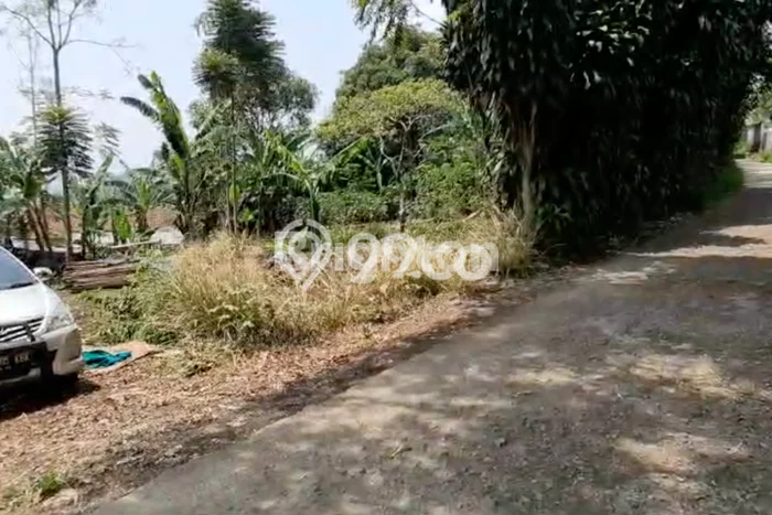 Kavling Tanah di Cugenang Dijual Luas 2604m2 Legalitas SHM Kavling Tanah di Cugenang Dijual Luas 2604m2 Legalitas SHM
