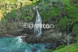 Tanah Dijual Lokasi Girisubo, Gunung Kidul Luas 100000m2 Legalitas Aman Tanah Dijual Lokasi Girisubo, Gunung Kidul Luas 100000m2 Legalitas Aman
