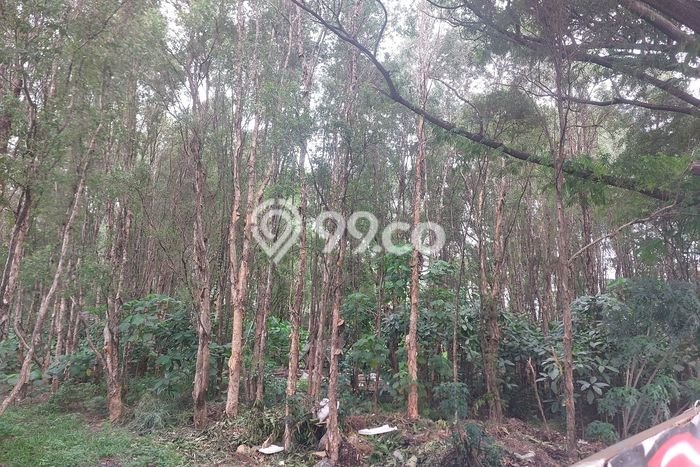 Kavling Tanah untuk Dijual di Jatake, Tangerang, Luas 13000m2 Kavling Tanah untuk Dijual di Jatake, Tangerang, Luas 13000m2