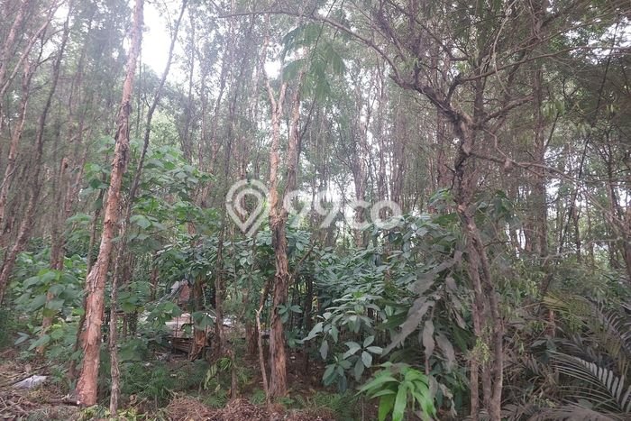 Kavling Tanah untuk Dijual di Jatake, Tangerang, Luas 13000m2 Kavling Tanah untuk Dijual di Jatake, Tangerang, Luas 13000m2