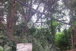 Kavling Tanah untuk Dijual di Jatake, Tangerang, Luas 13000m2 Kavling Tanah untuk Dijual di Jatake, Tangerang, Luas 13000m2