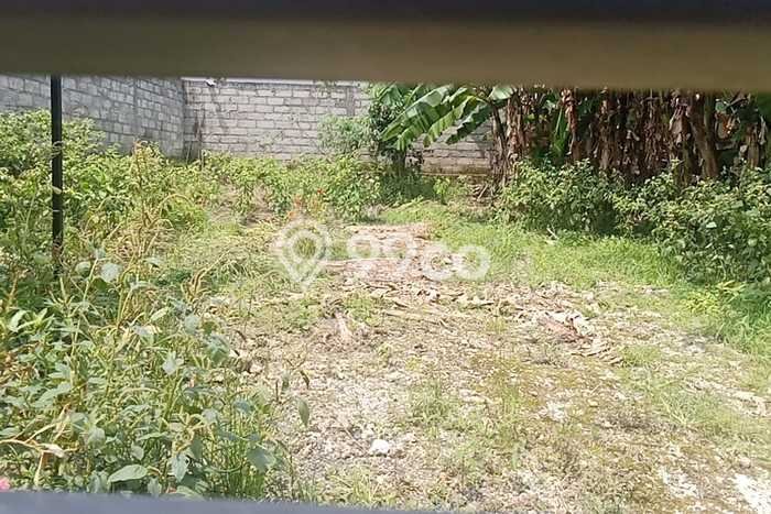Lahan Sewa di Kediri Tabanan dengan Luas 200m2 Lahan Sewa di Kediri Tabanan dengan Luas 200m2