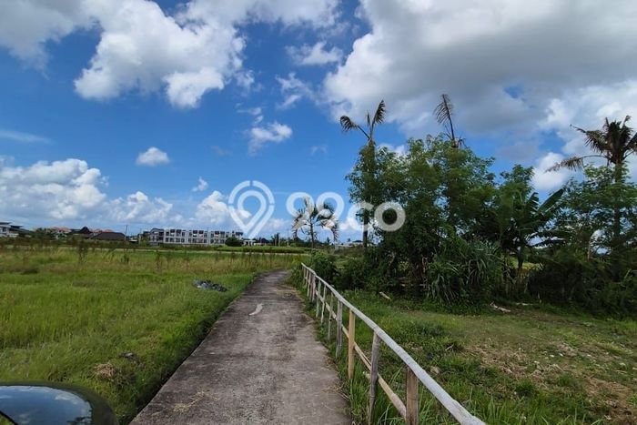 Lahan Dijual Lokasi Strategis di Tabanan dengan Luas 3590m2 Lahan Dijual Lokasi Strategis di Tabanan dengan Luas 3590m2