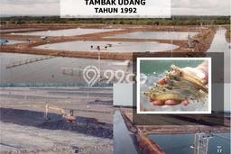 Tanah Dijual di Luwu Utara Seluas 1.953e+06m2 Strategis Tanah Dijual di Luwu Utara Seluas 1.953e+06m2 Strategis