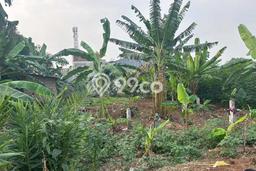 Kavling Tanah Dijual di Pancoran Mas Depok Spesifikasi 1100m2 Kavling Tanah Dijual di Pancoran Mas Depok Spesifikasi 1100m2
