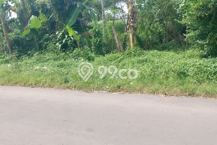 Lahan Dijual Lokasi Tajinan, Malang dengan Luas Tanah 506m2 dan Status SHM Lahan Dijual Lokasi Tajinan, Malang dengan Luas Tanah 506m2 dan Status SHM