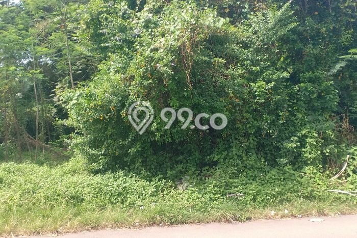 Lahan Dijual Lokasi Tajinan, Malang dengan Luas Tanah 506m2 dan Status SHM Lahan Dijual Lokasi Tajinan, Malang dengan Luas Tanah 506m2 dan Status SHM