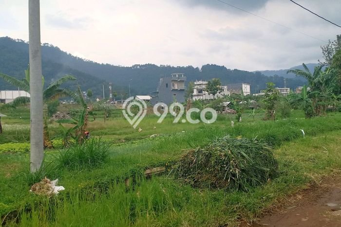 Tanah Kavling di Batu Dijual dengan Luas 1000m2 Tanah Kavling di Batu Dijual dengan Luas 1000m2