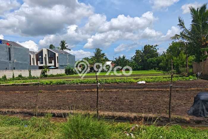 Tanah untuk Dijual Lokasi Sepatan, Tangerang Luas 5007m2 SHM Tanah untuk Dijual Lokasi Sepatan, Tangerang Luas 5007m2 SHM