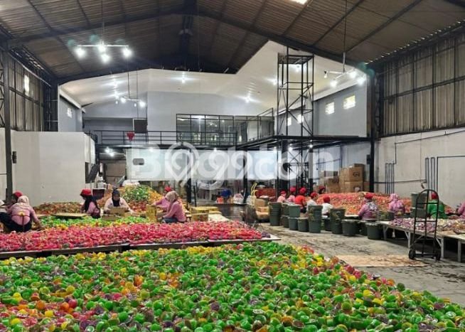 Lokasi Strategis! Dijual Pabrik Bisnis di Ambarawa, Ambarawa Kondisi Baik Lokasi Strategis! Dijual Pabrik Bisnis di Ambarawa, Ambarawa Kondisi Baik