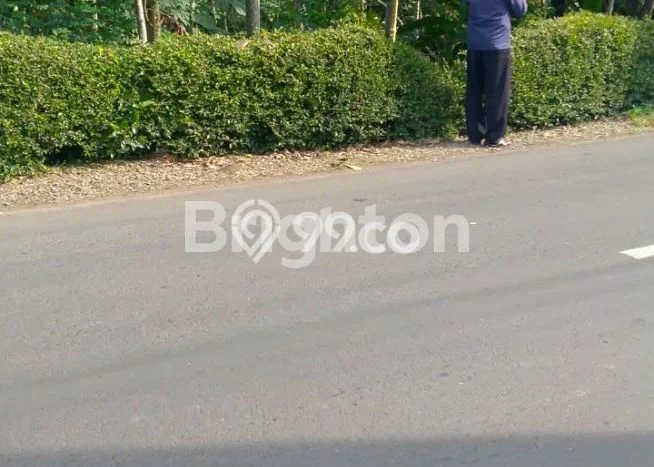 Lahan Investasi Lokasi Tingkir Salatiga SHM Lahan Investasi Lokasi Tingkir Salatiga SHM