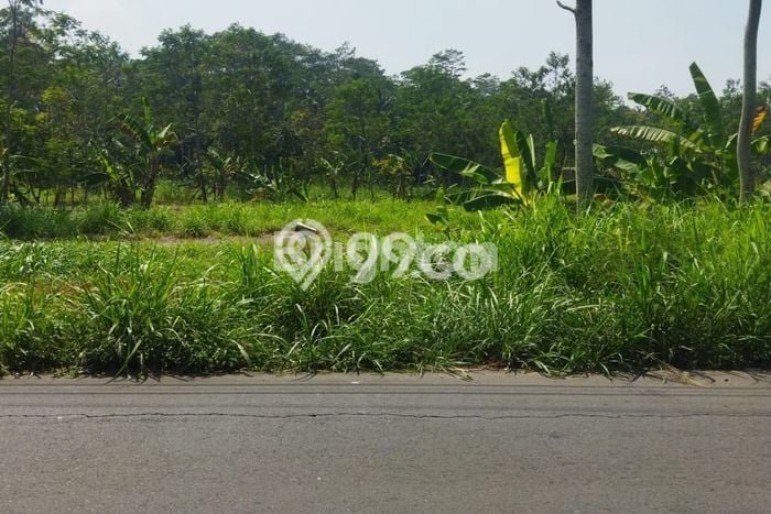 Tanah Kavling untuk Dijual di Tengaran Semarang 140000m2 Tanah Kavling untuk Dijual di Tengaran Semarang 140000m2