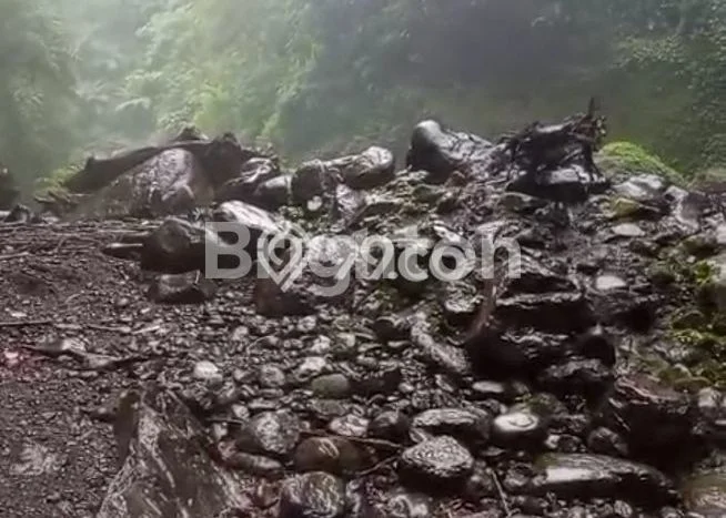Lahan Dijual Lokasi Strategis di Buleleng dengan Luas 100000m2 Lahan Dijual Lokasi Strategis di Buleleng dengan Luas 100000m2