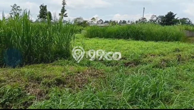 Untuk Dijual Tanah di Tingkir Salatiga Luas 300000m2 SHM Untuk Dijual Tanah di Tingkir Salatiga Luas 300000m2 SHM