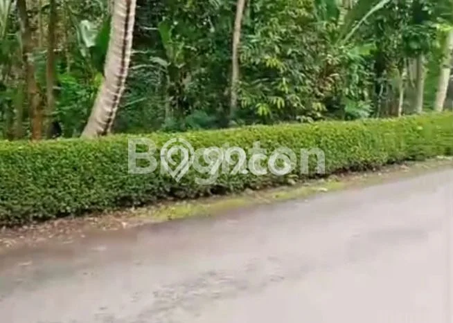 Lahan Investasi Lokasi Tingkir Salatiga SHM Lahan Investasi Lokasi Tingkir Salatiga SHM