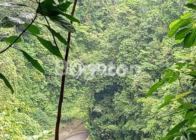 Lahan Dijual Lokasi Strategis di Buleleng dengan Luas 100000m2 Lahan Dijual Lokasi Strategis di Buleleng dengan Luas 100000m2