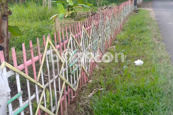 Tanah Dijual Lokasi Sidorejo, Salatiga Luas 10000m2 Legalitas Aman Tanah Dijual Lokasi Sidorejo, Salatiga Luas 10000m2 Legalitas Aman